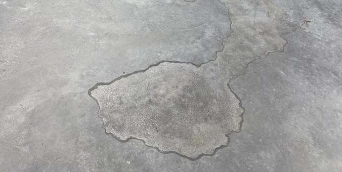Concrete watermark — the Arrest Line visible at the moisture boundary