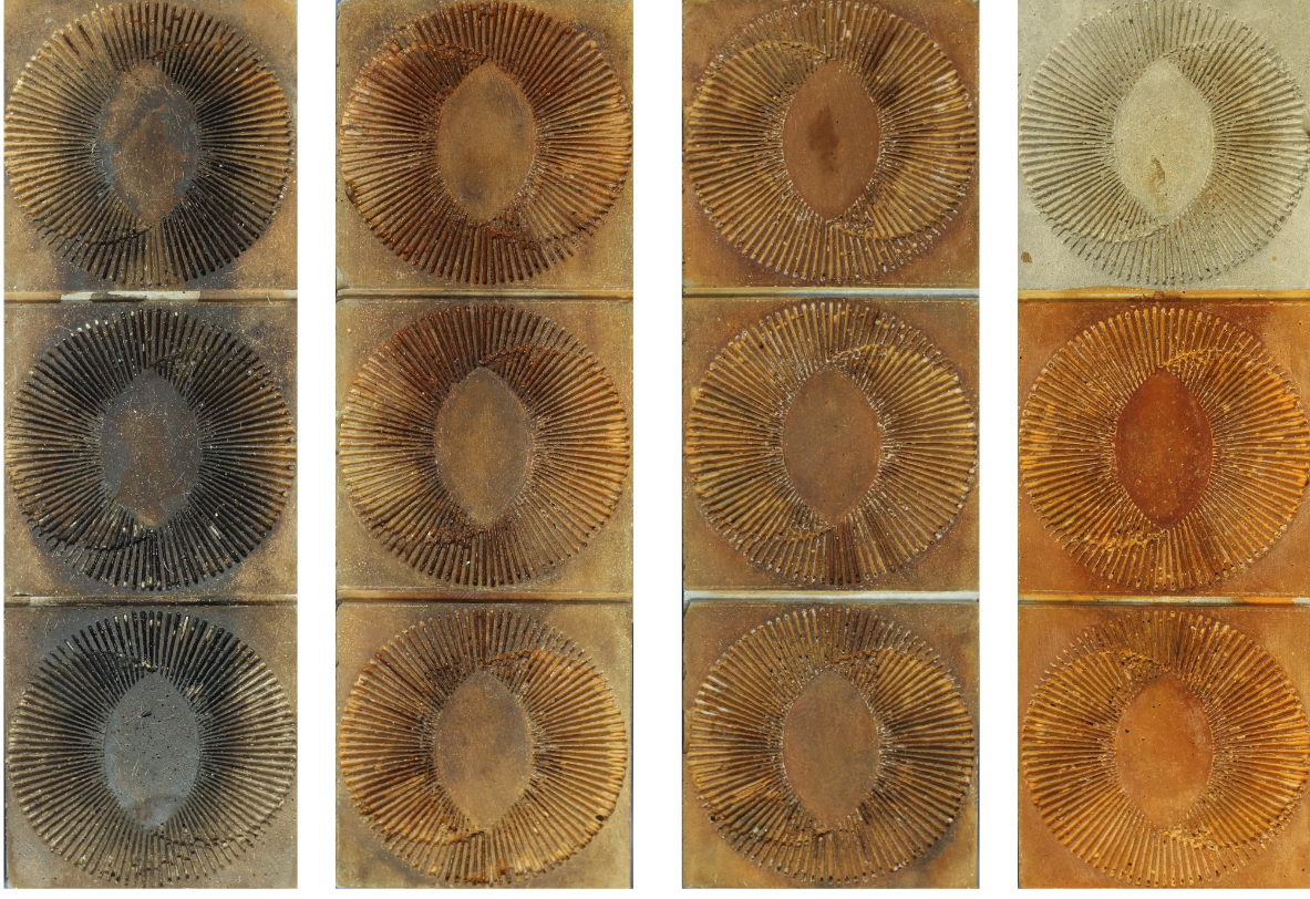 FS⇄MS Decile Ladder — Triplex swatches showing the central hydration reservoir