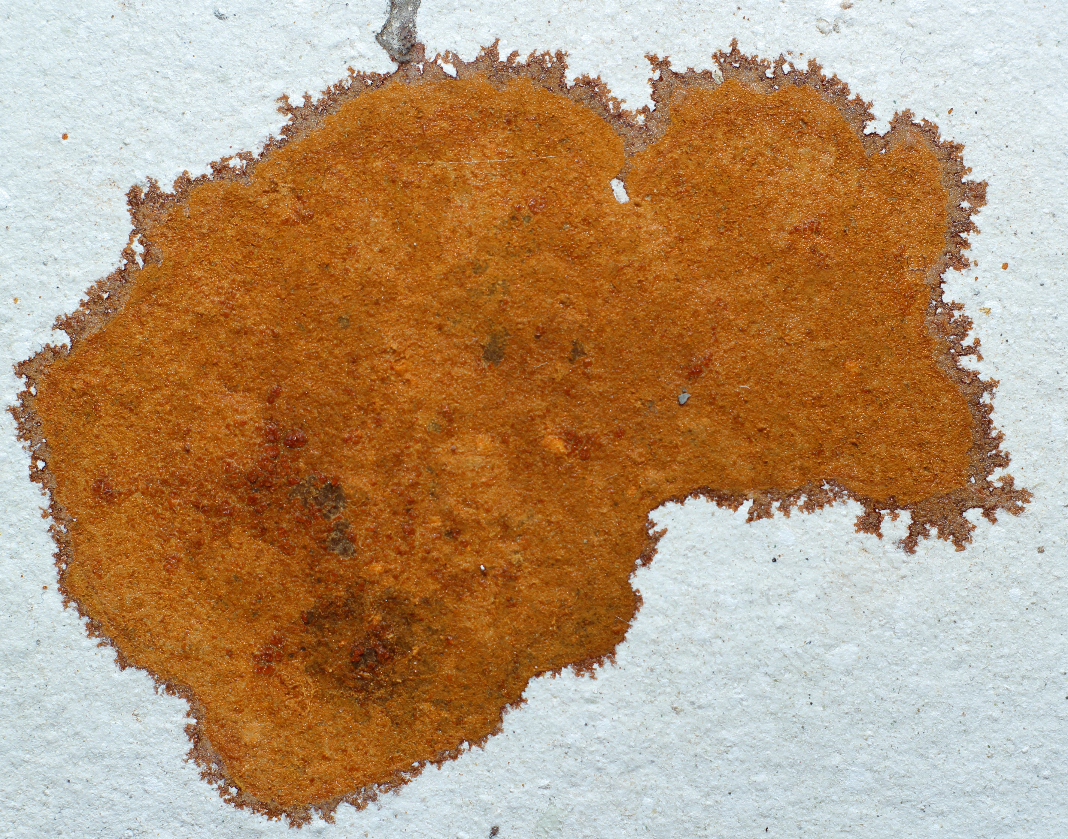 FS⇄MC 9:1 RSE Card — oxidation graveyard with manganese scout field