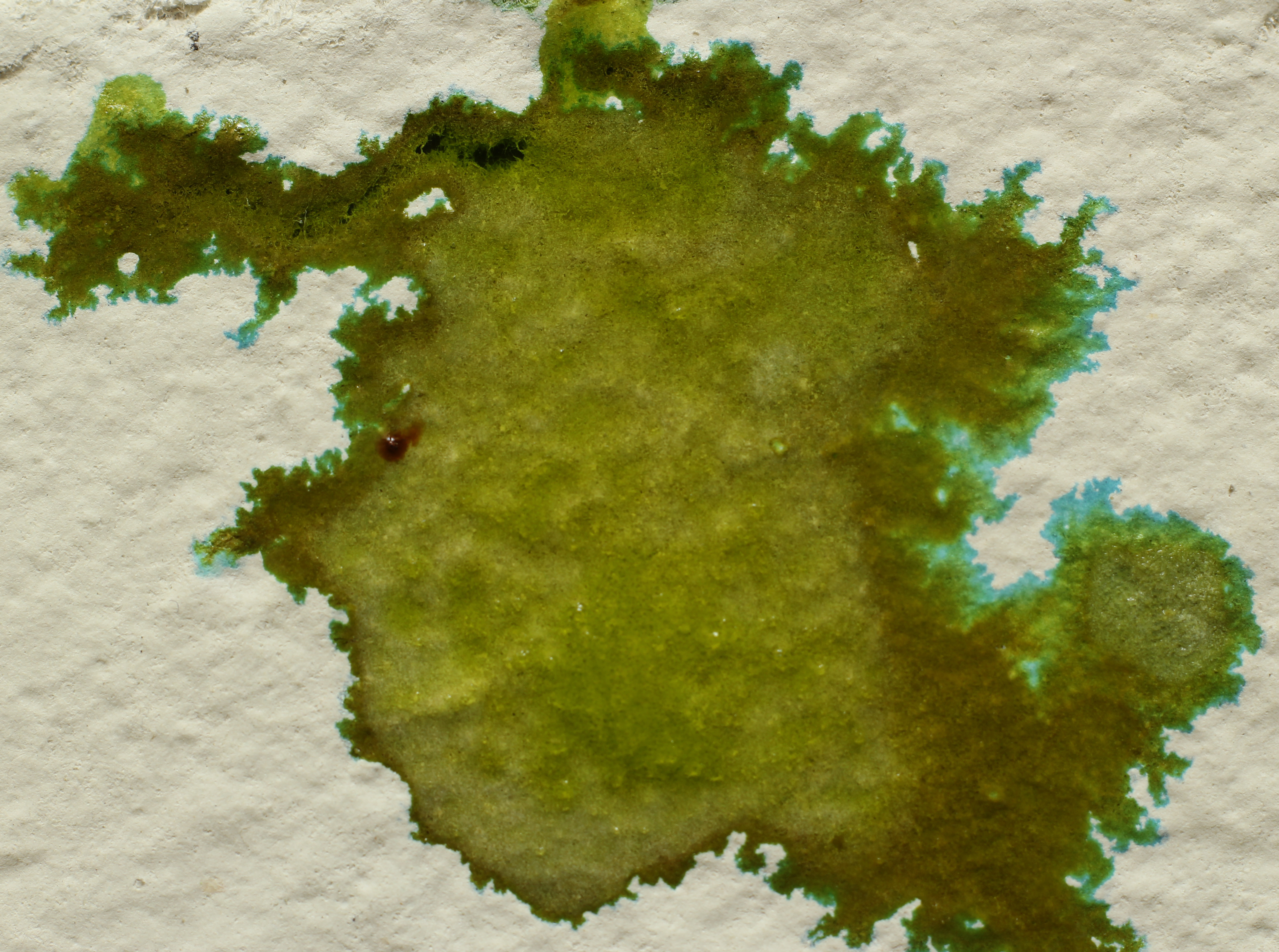 Nickel Nitrate RSE — Blue-Green Halo detail